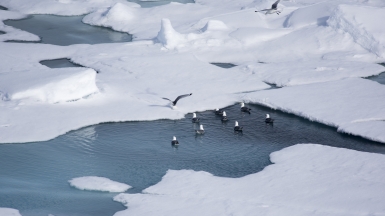 Фото: Christopher.Michel. Источник: visualhunt.com