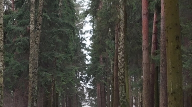 Фото гида Александра Чудновских