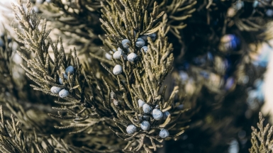 Фото: Ilya Sidak, unspalsh.com