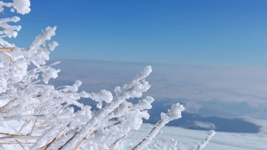 Фото нашего гида Ирины Пряничниковой