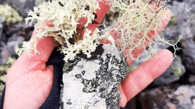 Фото гида Екатерины Синюковой