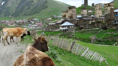 Дорога в Ушгули. Фото нашего гида Ирины Пряничниковой.