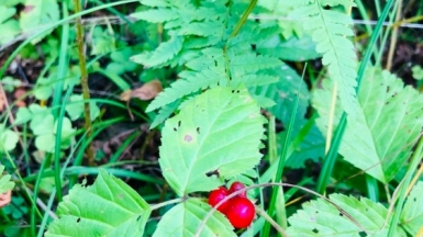 Фото наших Странников