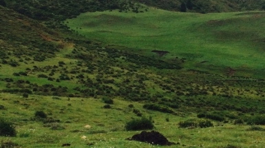 Фото Александры Поярковой