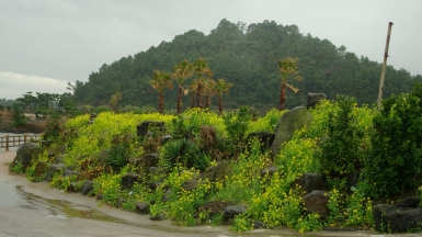 Источник фото: visualhunt.com