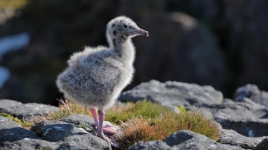 Фото из архива Клуба