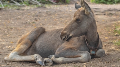 Фото нашего гида Михаила Верёвченко