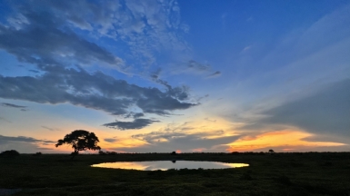 Фото: наш гид Алексей Шорец