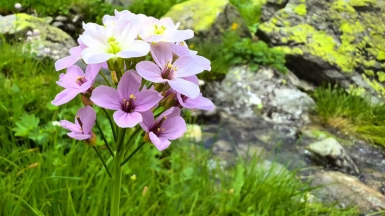 Фото нашего Странника Алексея Кондратенко