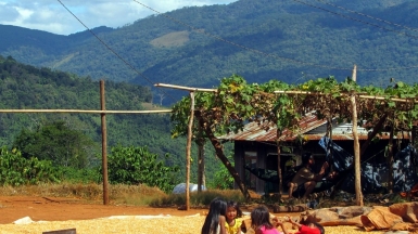 Ферма Да Лат, фото нашего гида Лики Майстровой