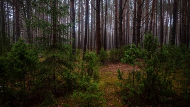 Фото гида Михаила Верёвченко