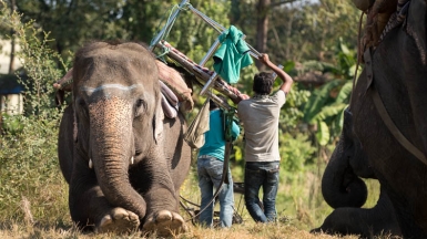 Фото: sunriseOdyssey on VisualHunt