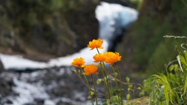 Фото из архива Клуба