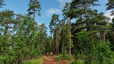 Фото: Alexxx1979, visualhunt