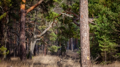 Фото нашего гида Михаила Верёвченко