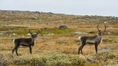 Фото: Niklas Jonasson on Unsplash