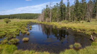 Фото нашего гида Михаила Верёвченко