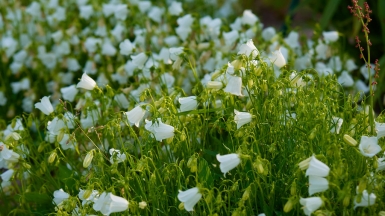 Фото Alexxx1979 on VisualHunt