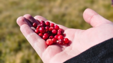 Фото нашей Странницы Анны Лазаренко