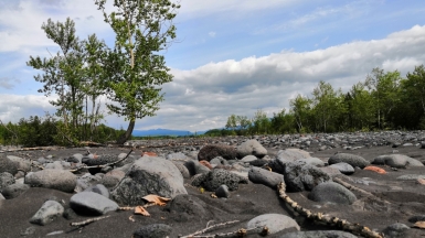 Фото нашей Странницы Татьяны Парцей