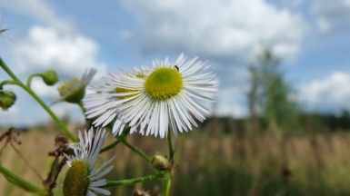 Фото наших Странников