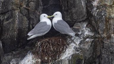 Фото из архива Клуба