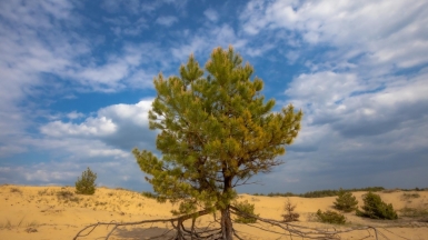 Фото нашего гида Михаила Верёвченко