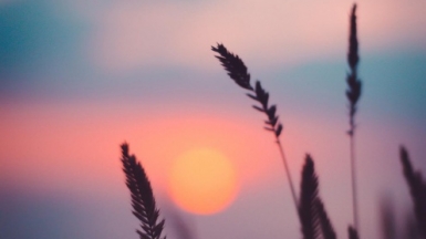 Фото:
Ann Savchenko, unsplash.com