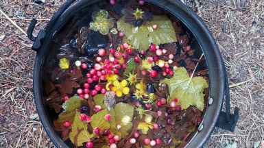 Фото наших Странников