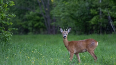 Фото нашего гида Михаила Верёвченко