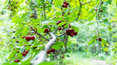 Фото: collab-media on unsplash