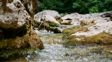 Фото: sunnylapin, visualhunt.com