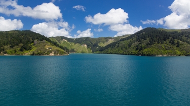 Фото нашей Странницы Татьяны Руновой