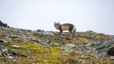 Фото из архива Клуба
