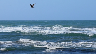 Фото из архива Клуба