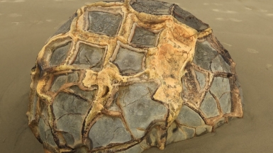 Фото из архива Клуба