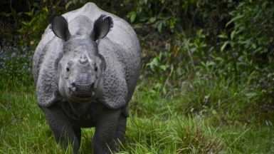 Фото: Antonio Cinotti on VisualHunt