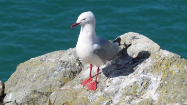 Фото из архива Клуба