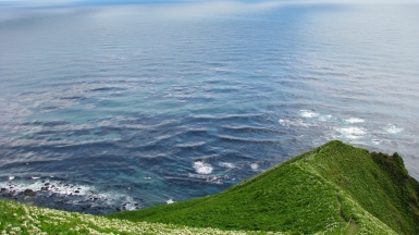 Фото: SuricataJ, wikimedia.org