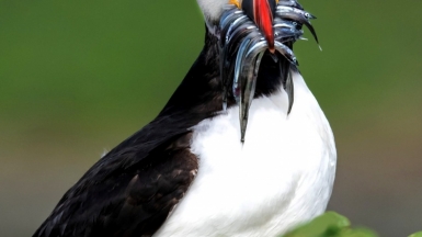 Фото из архива Клуба