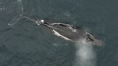 Фото из архива Клуба