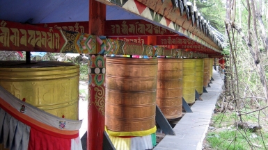 Автор: Prince Roy, источник: visualhunt