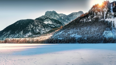 Фото: Simon Berger, unsplash.com