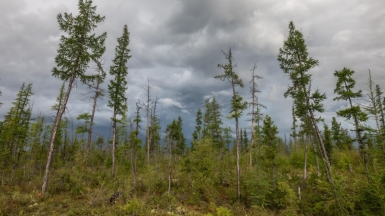 Фото нашего гида Михаила Верёвченко