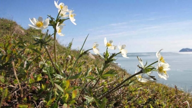 Фото: Магадан, visualhunt.com