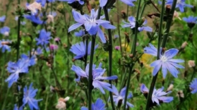 Фото наших Странников