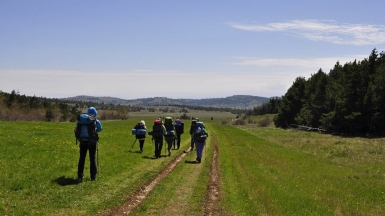 Фото нашей Странницы Виктории Васильченко