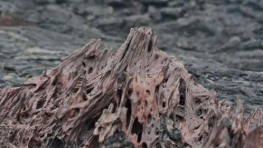 Фото нашей Странницы Марии Дель