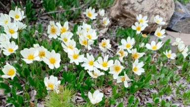 Фото гида Андрея Ткачёва