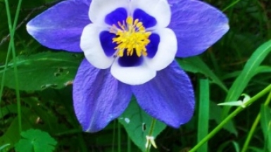 Фото нашего Странника Эмира Хаметшина